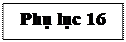 Text Box: Phụ lục 16

