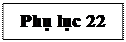 Text Box: Phụ lục 22