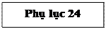 Text Box: Phụ lục 24